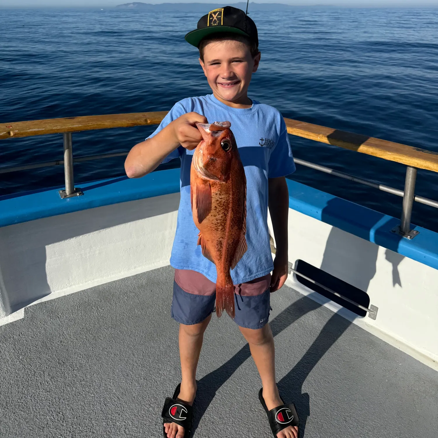 The most recent Bank rockfish catches on Fishbrain