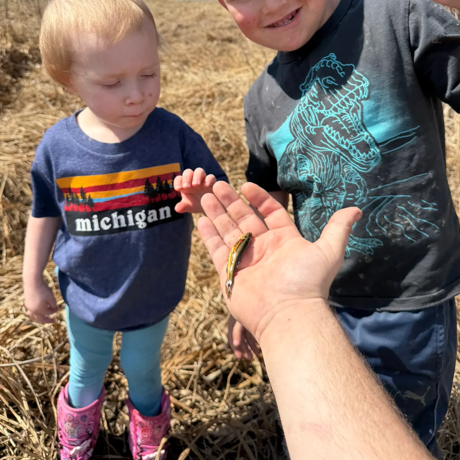 The most recent Northern redbelly dace catches on Fishbrain