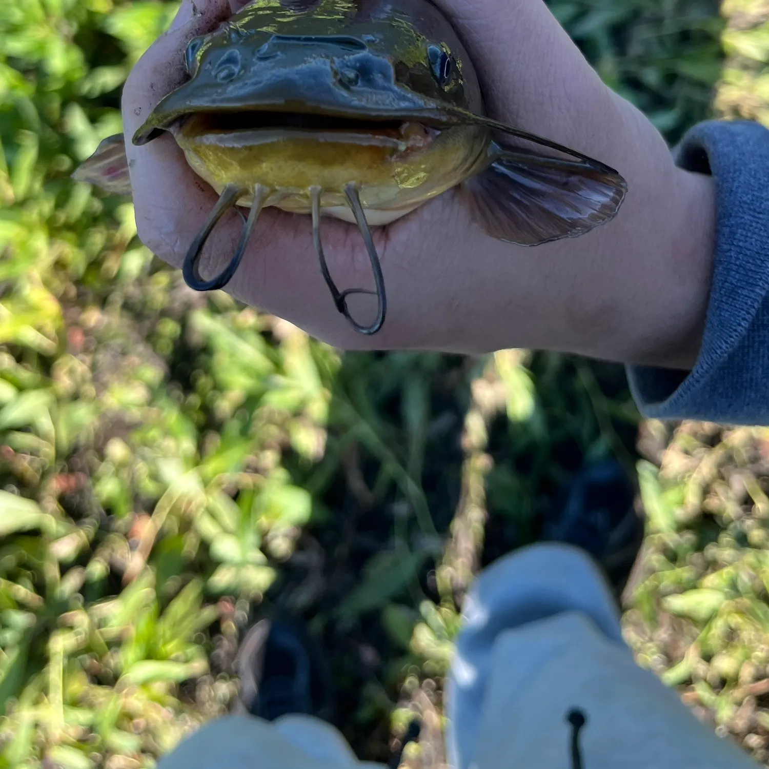catch