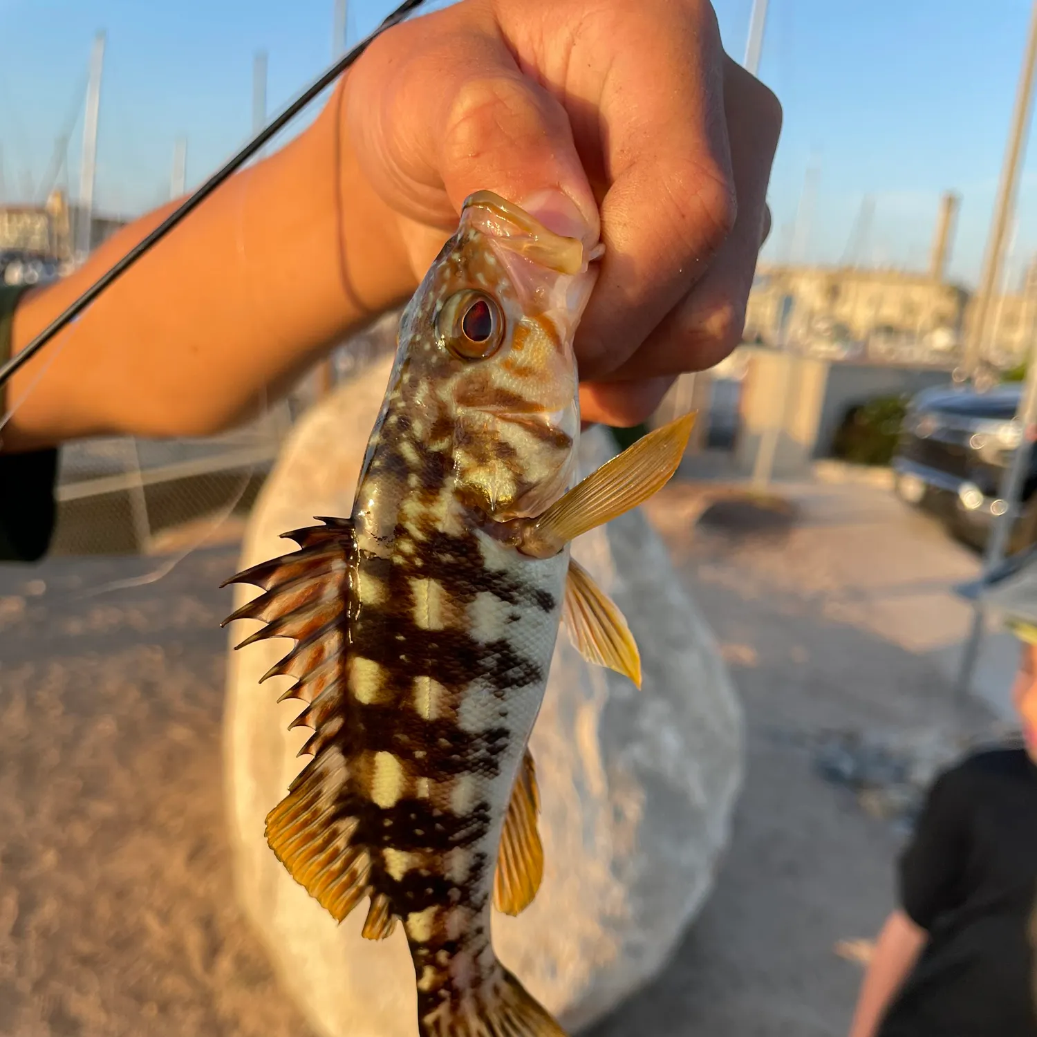 catch