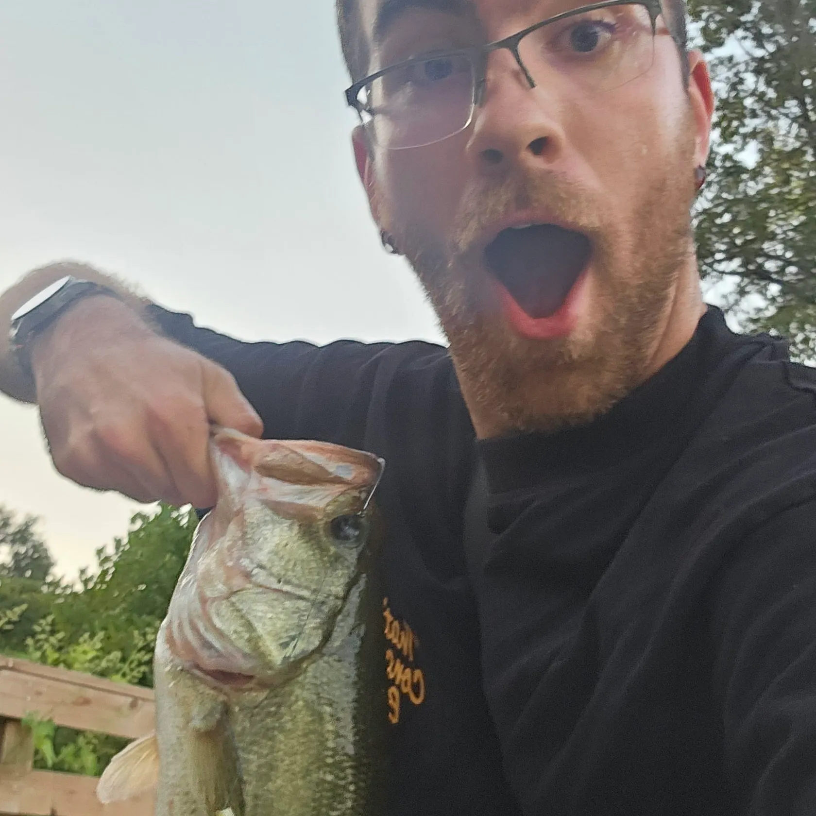 Largemouth bass caught on Fishbrain