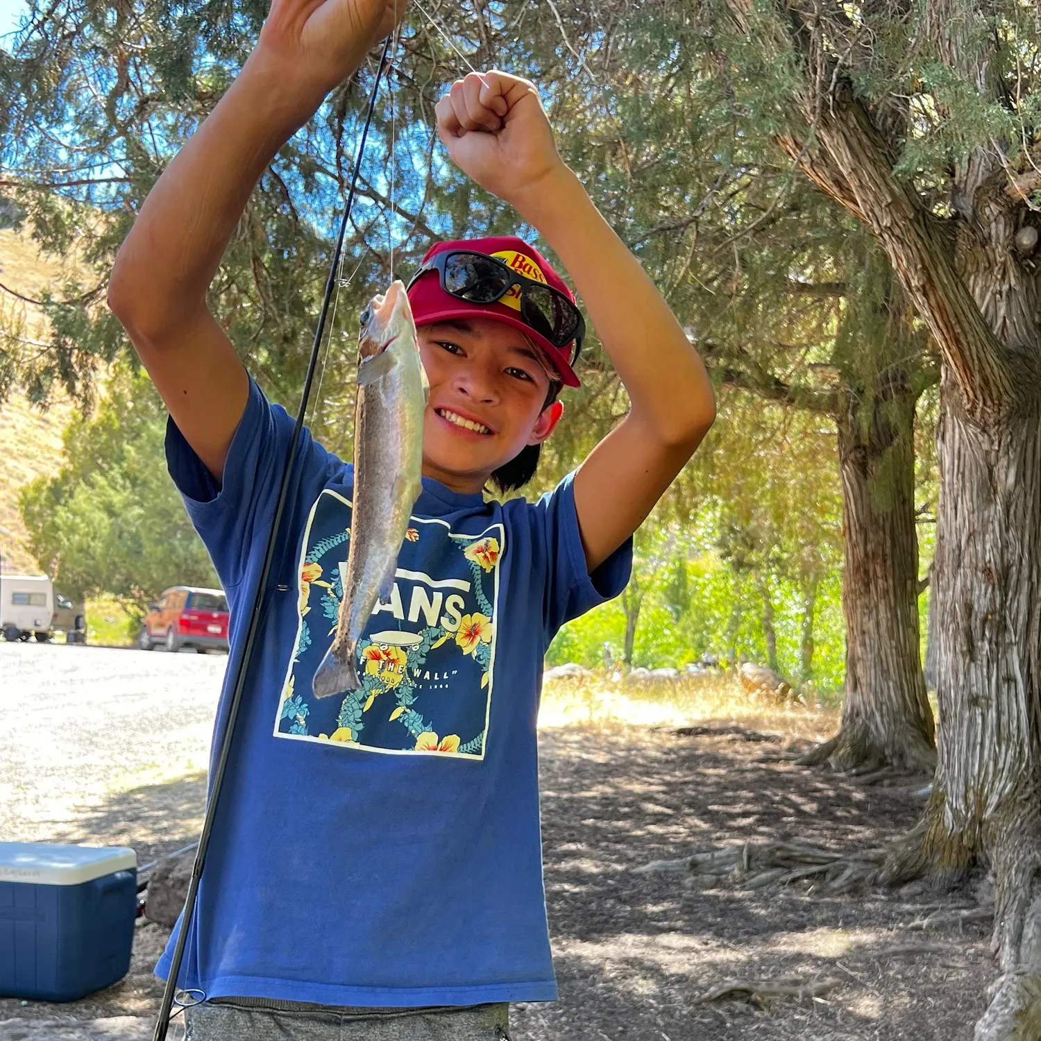 Rainbow trout caught on Fishbrain
