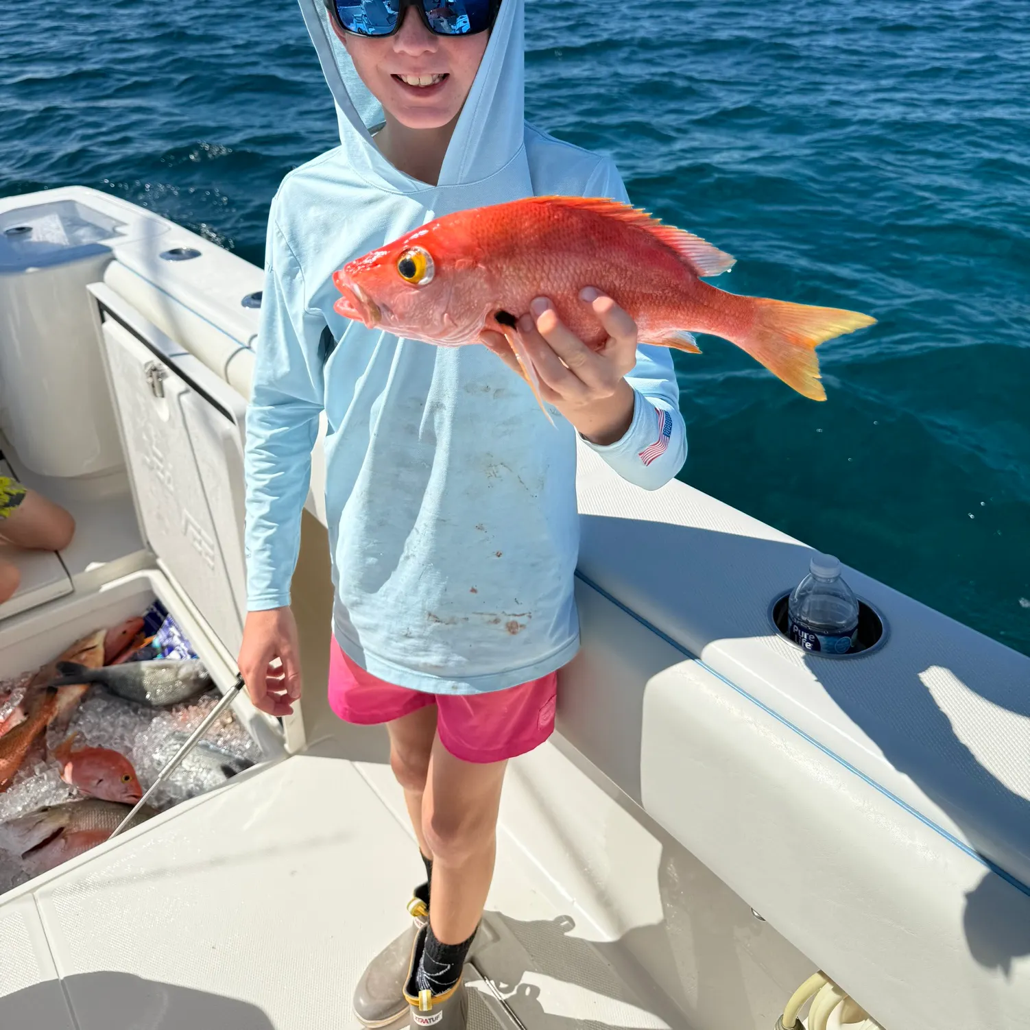 The most recent Blackfin snapper catches on Fishbrain