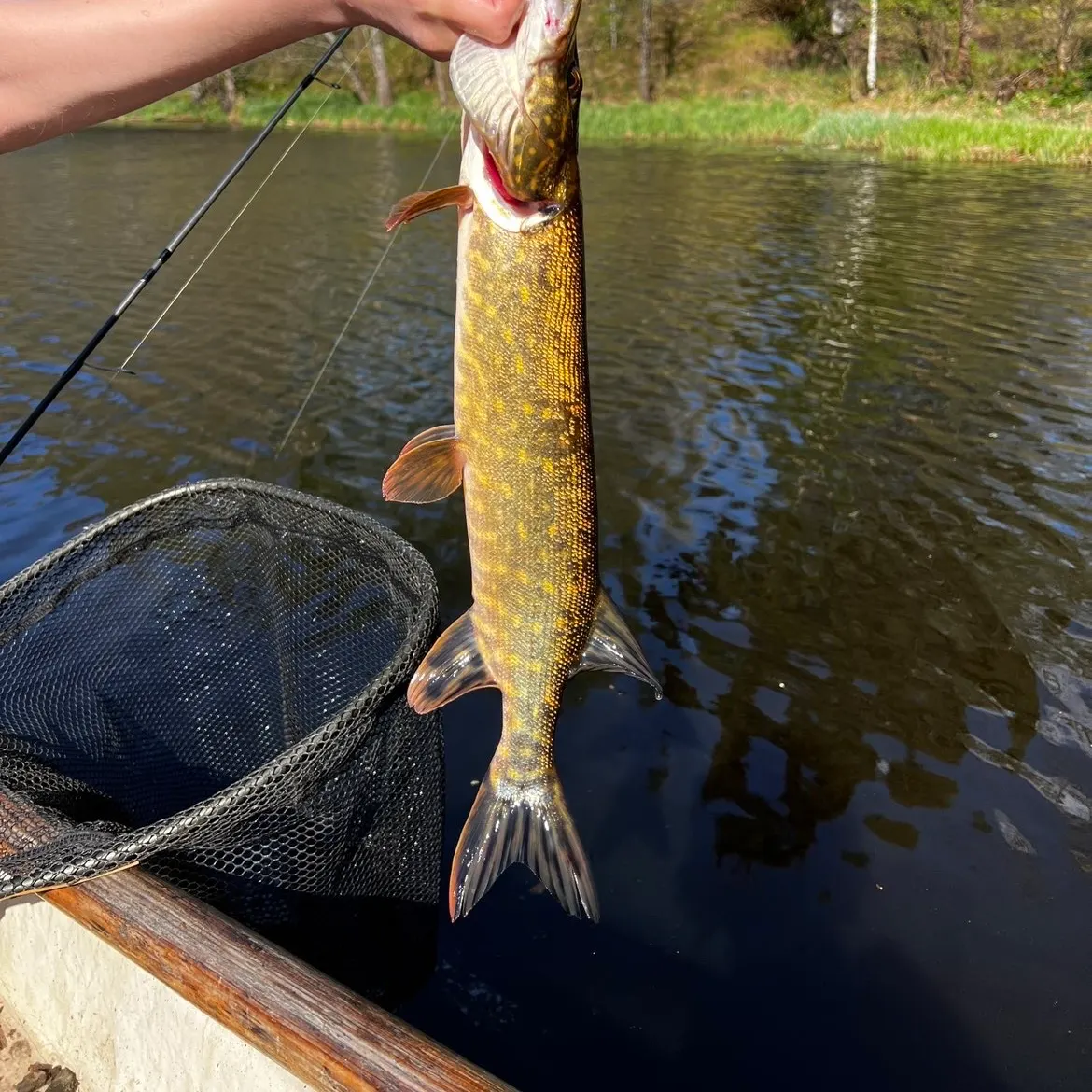 catch