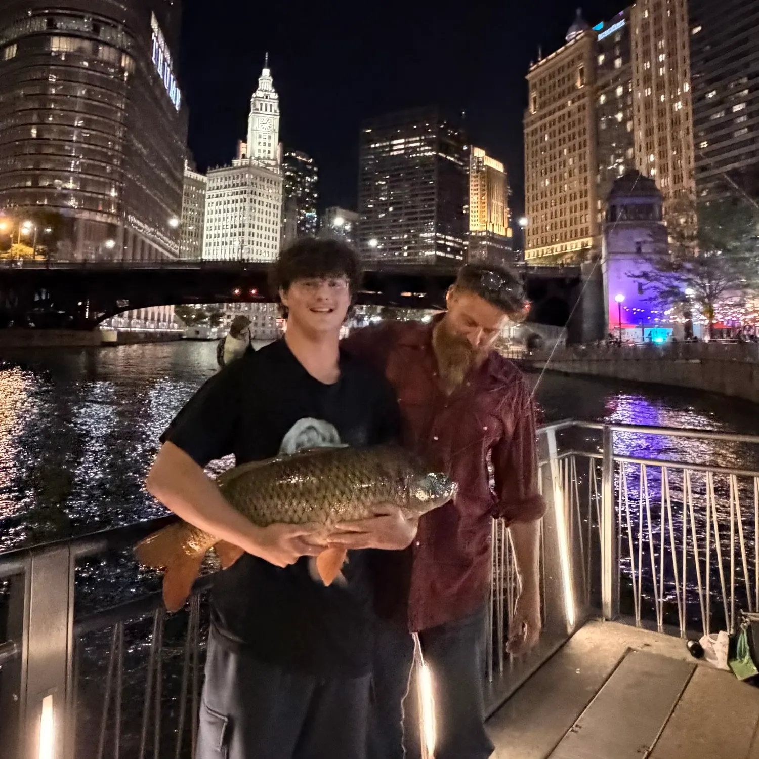 Common carp caught on Fishbrain