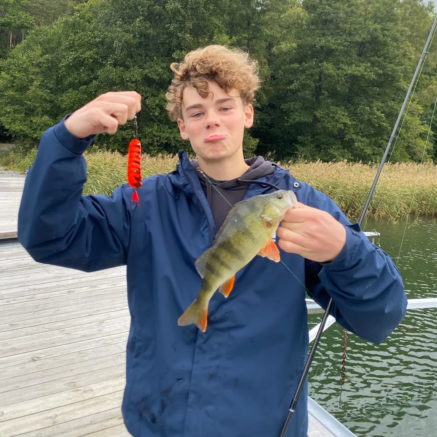 European perch caught on Fishbrain