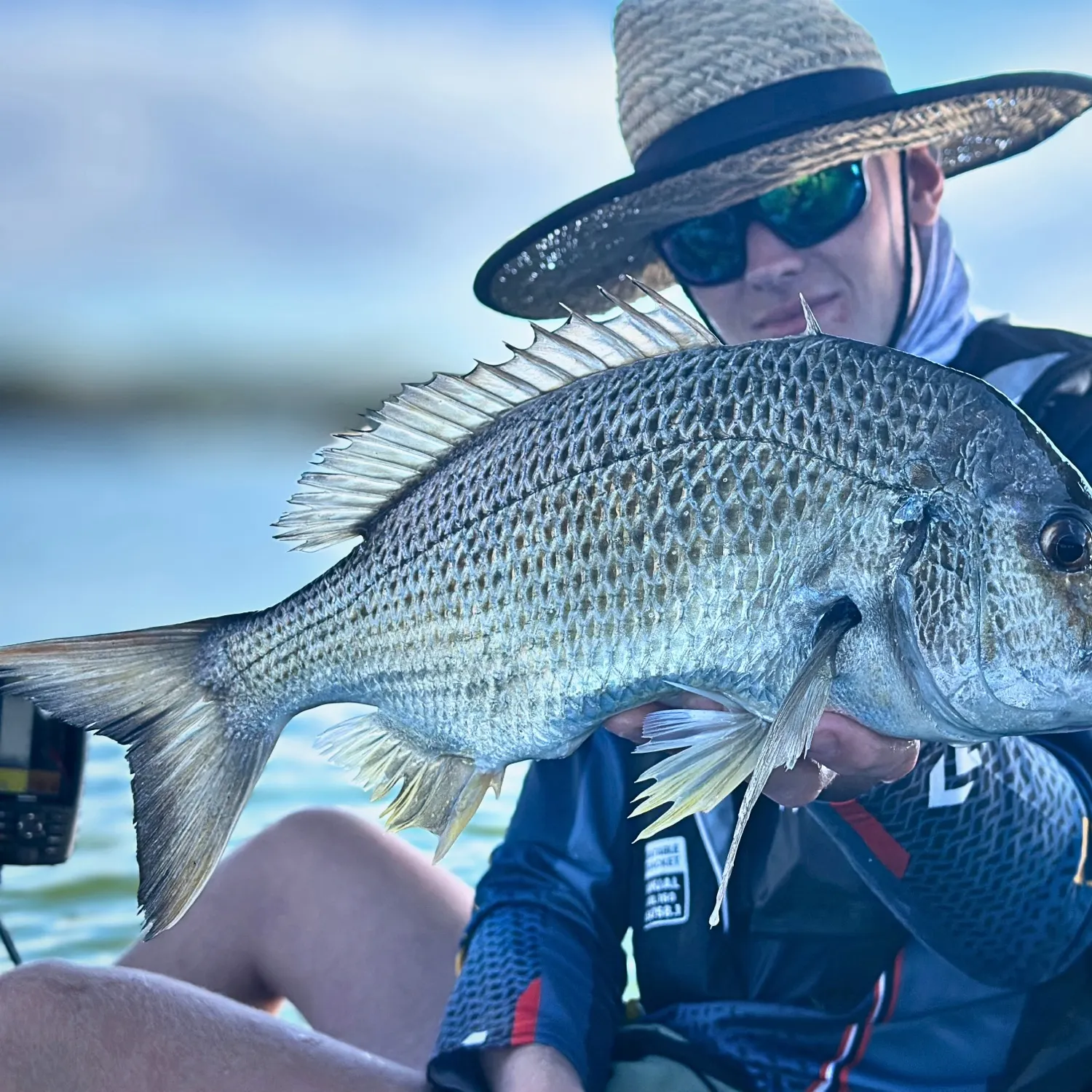 The most recent Surf bream catches on Fishbrain