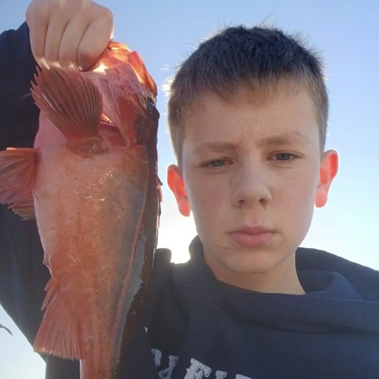 The most recent Quillback rockfish catches on Fishbrain
