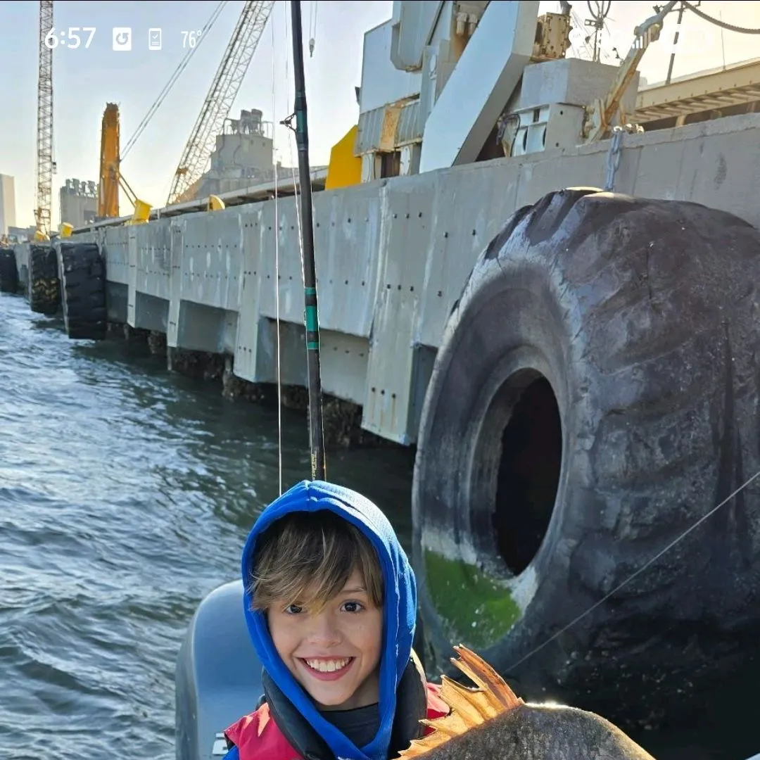 The most recent Black drum catches on Fishbrain