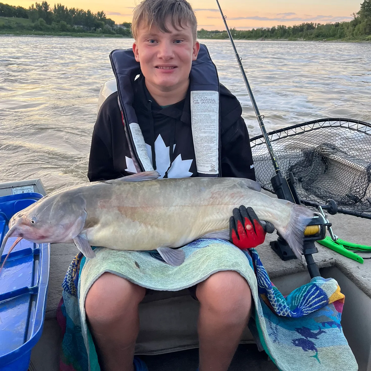 Channel catfish caught on Fishbrain