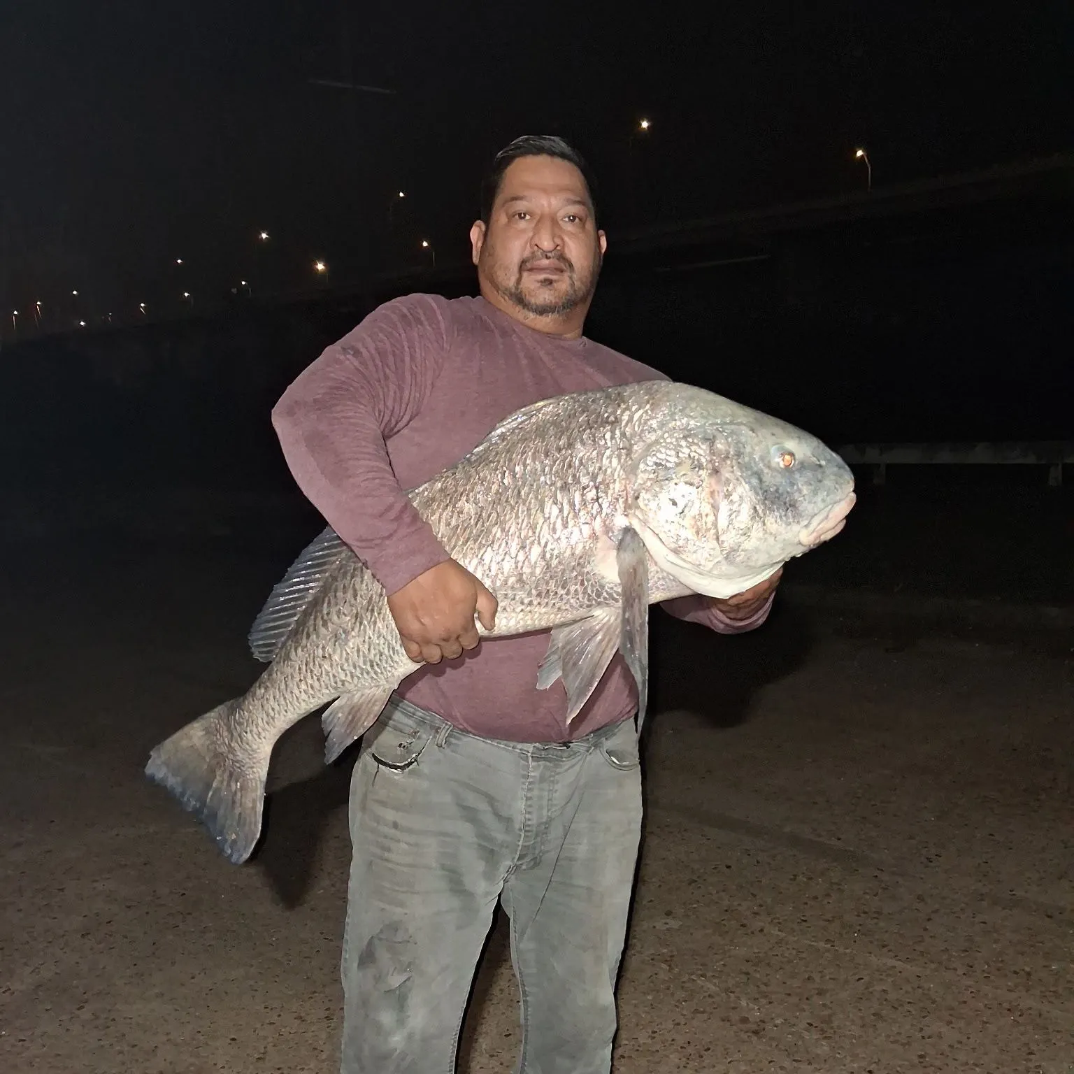 Black drum caught on Fishbrain