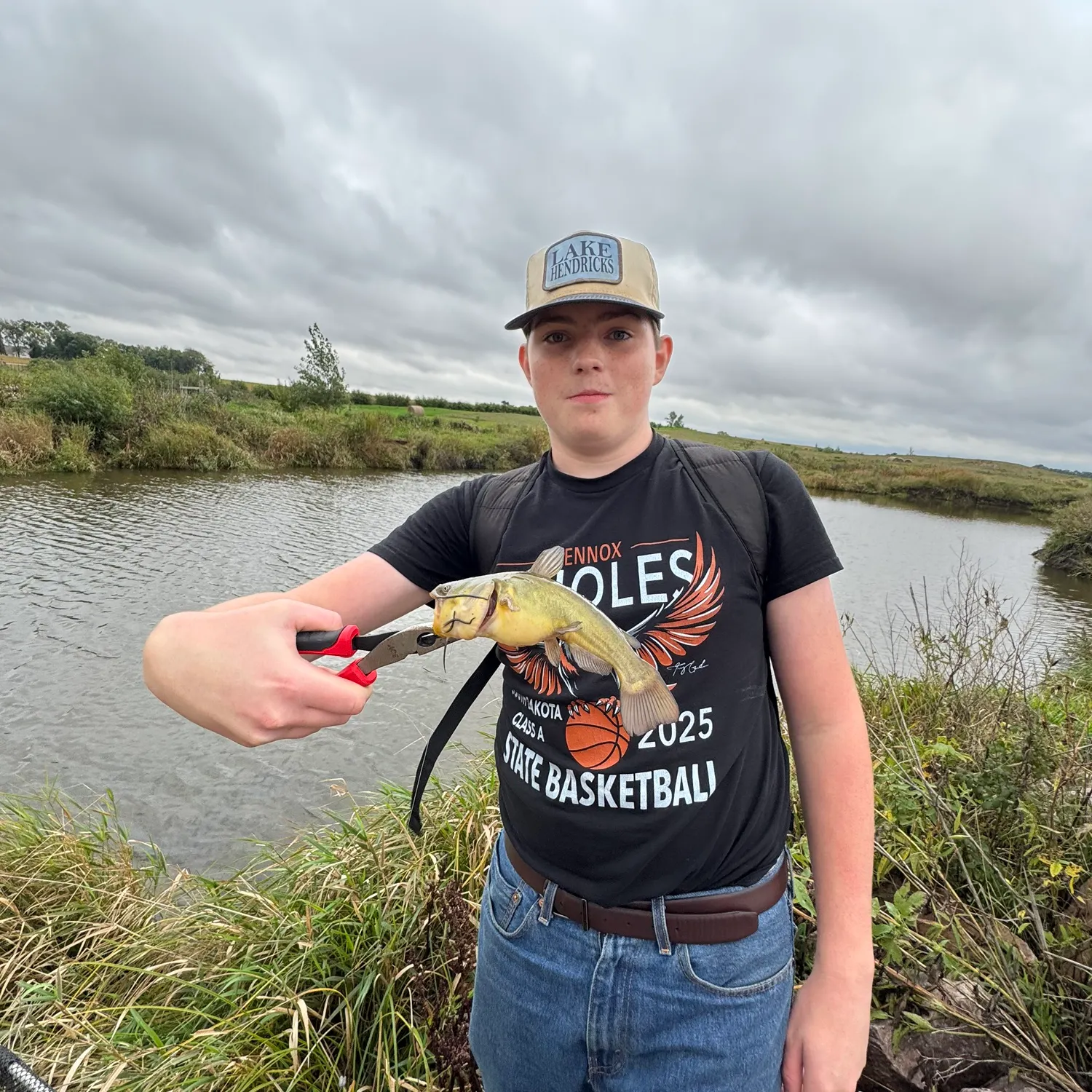 Yellow bullhead caught on Fishbrain