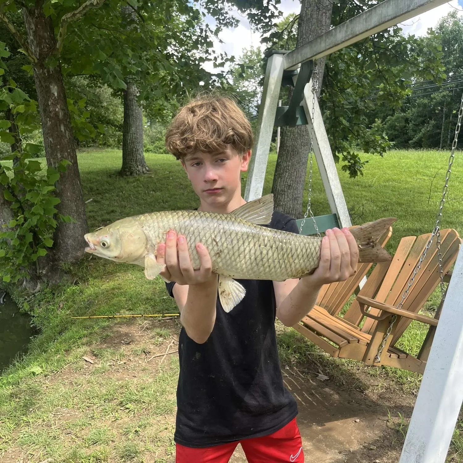 angler catch