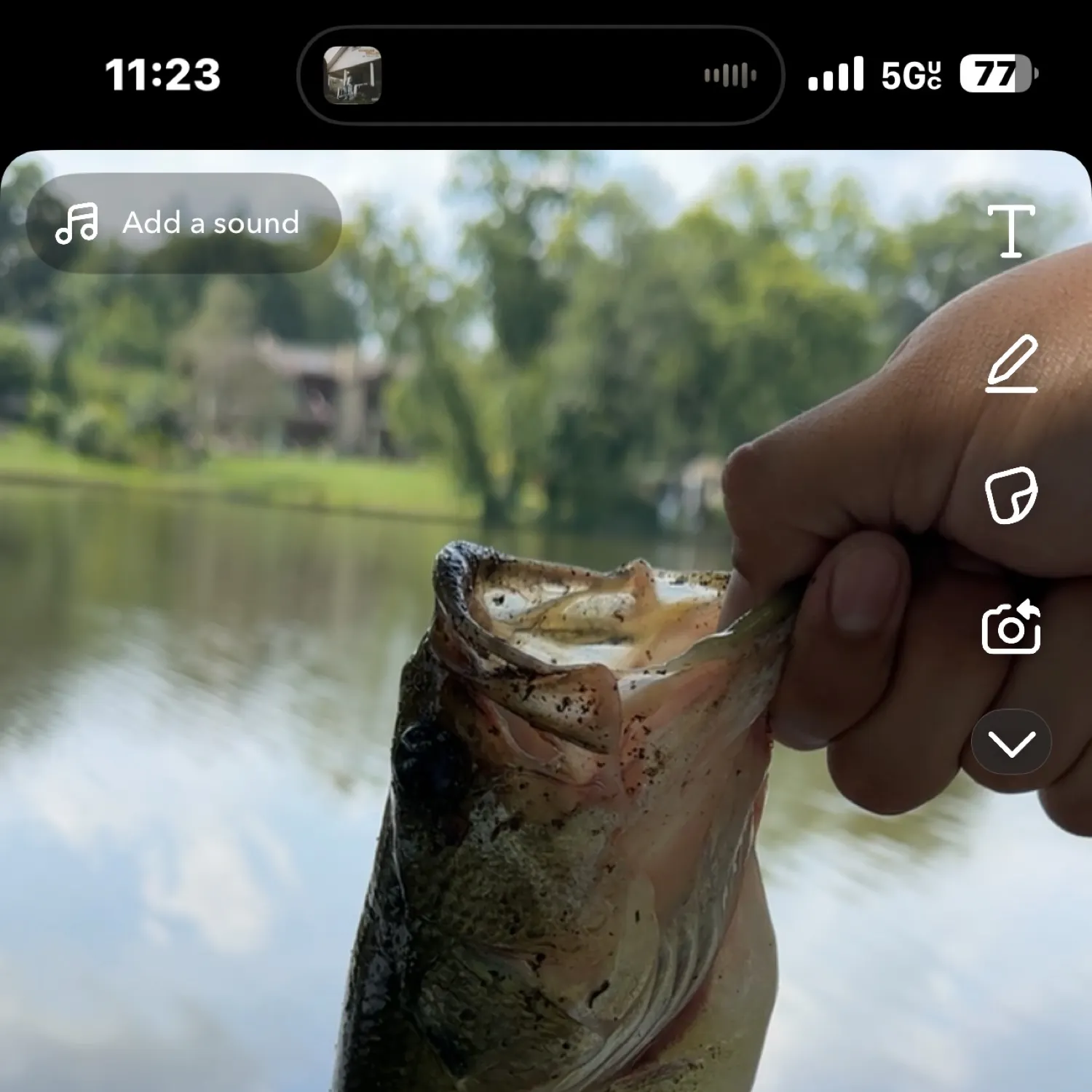 recently logged catches