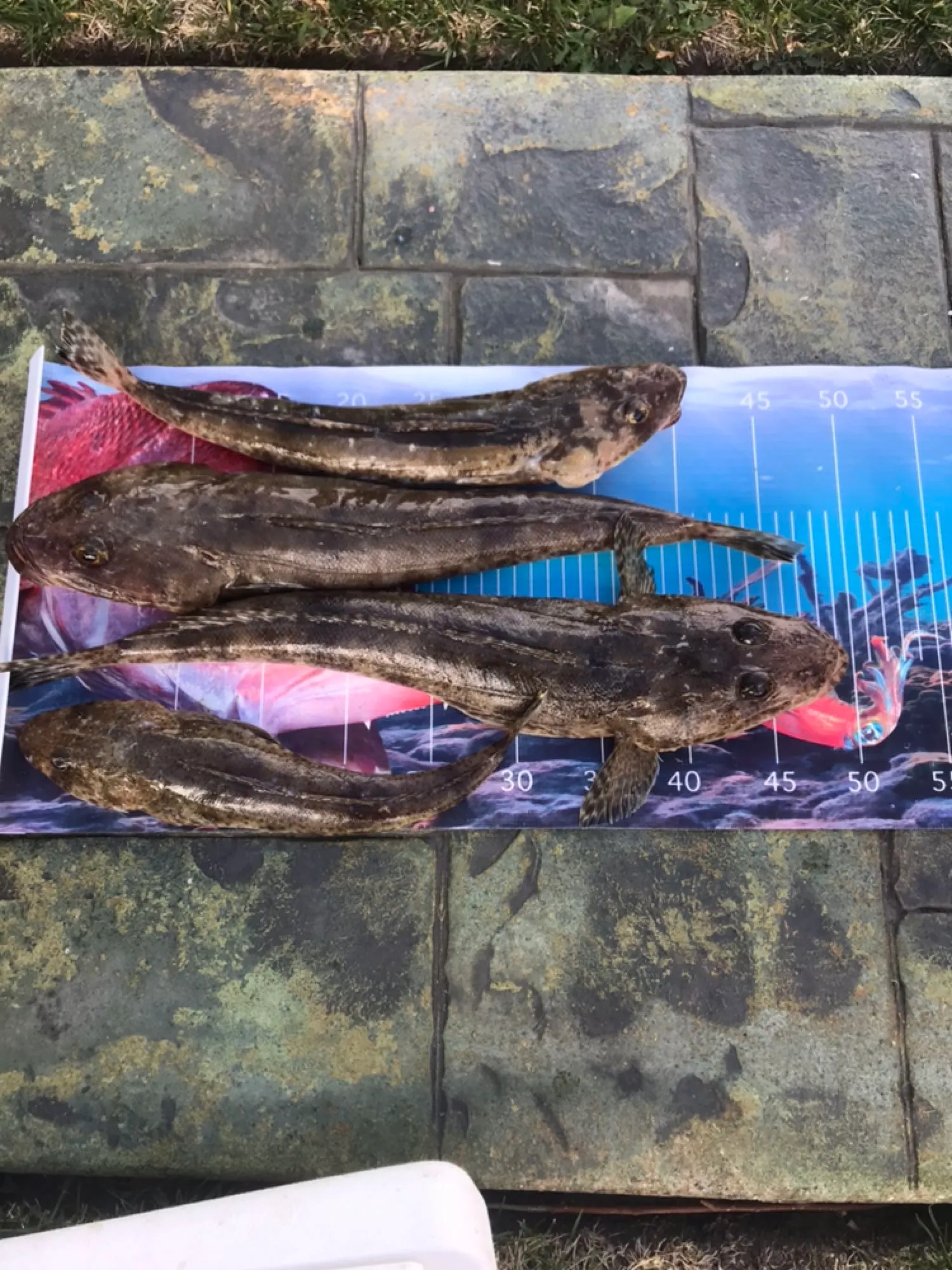 Post image from petegray378