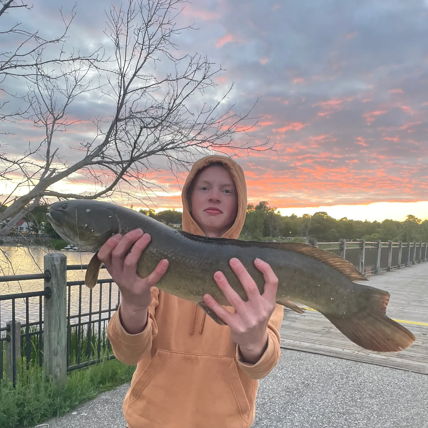 catch