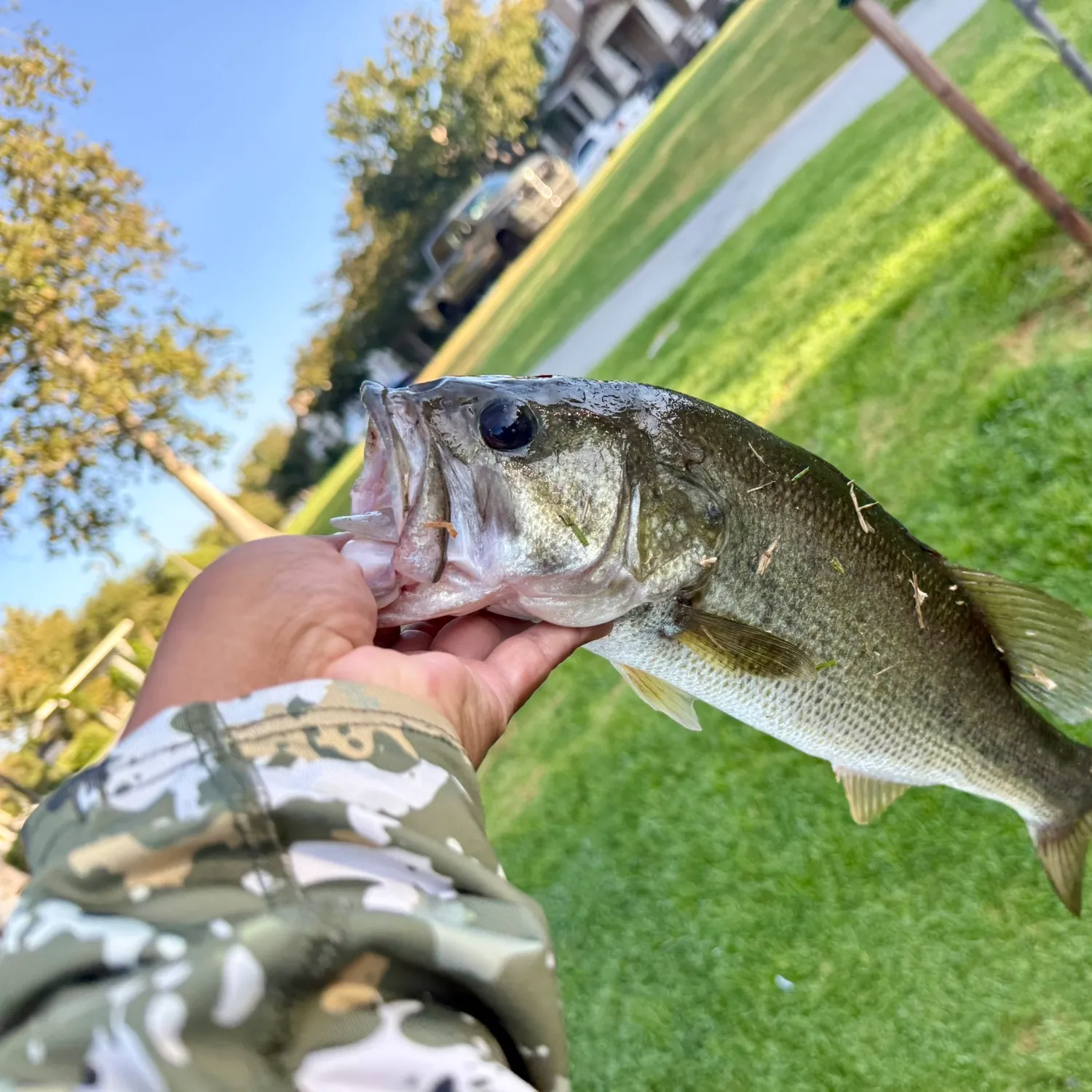 catch