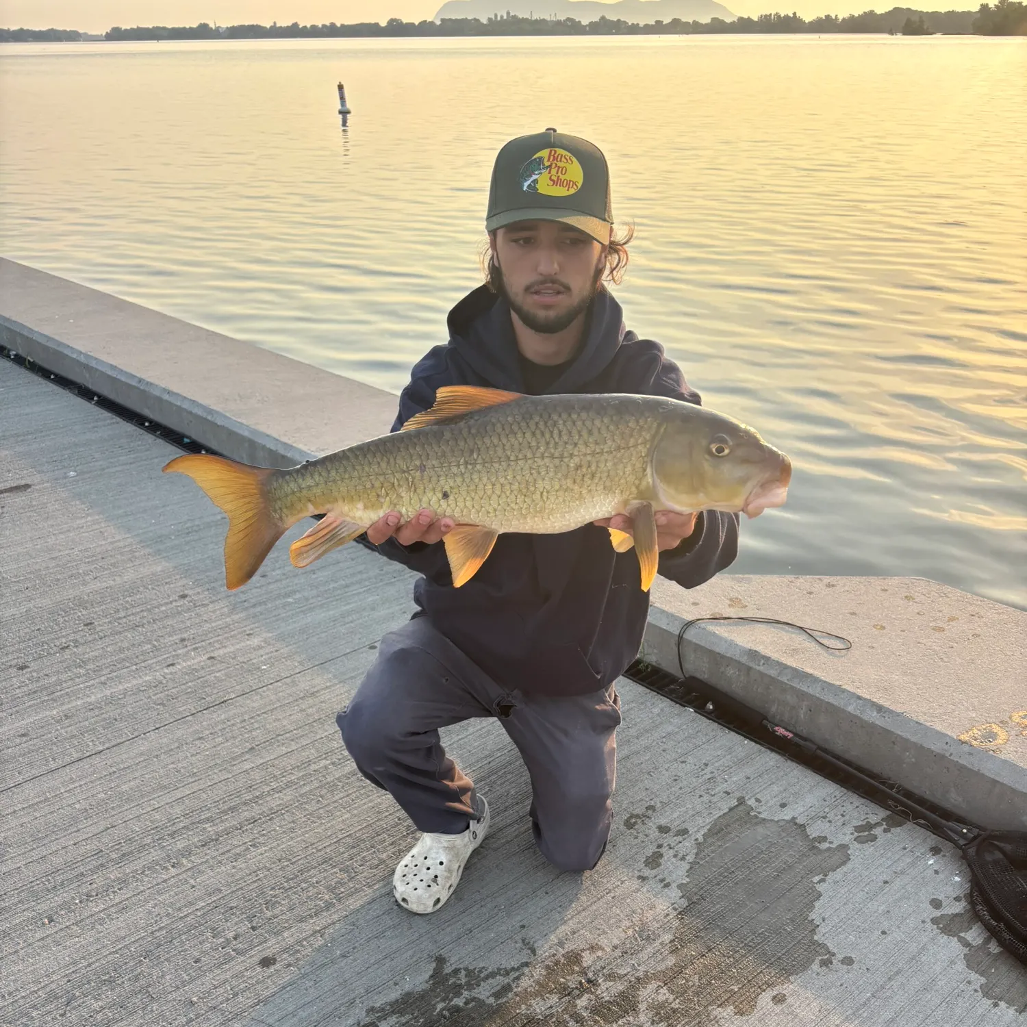 The most recent Silver redhorse catches on Fishbrain
