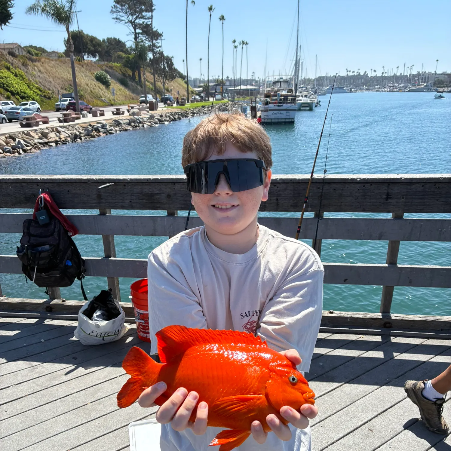 The most recent Garibaldi damselfish catches on Fishbrain