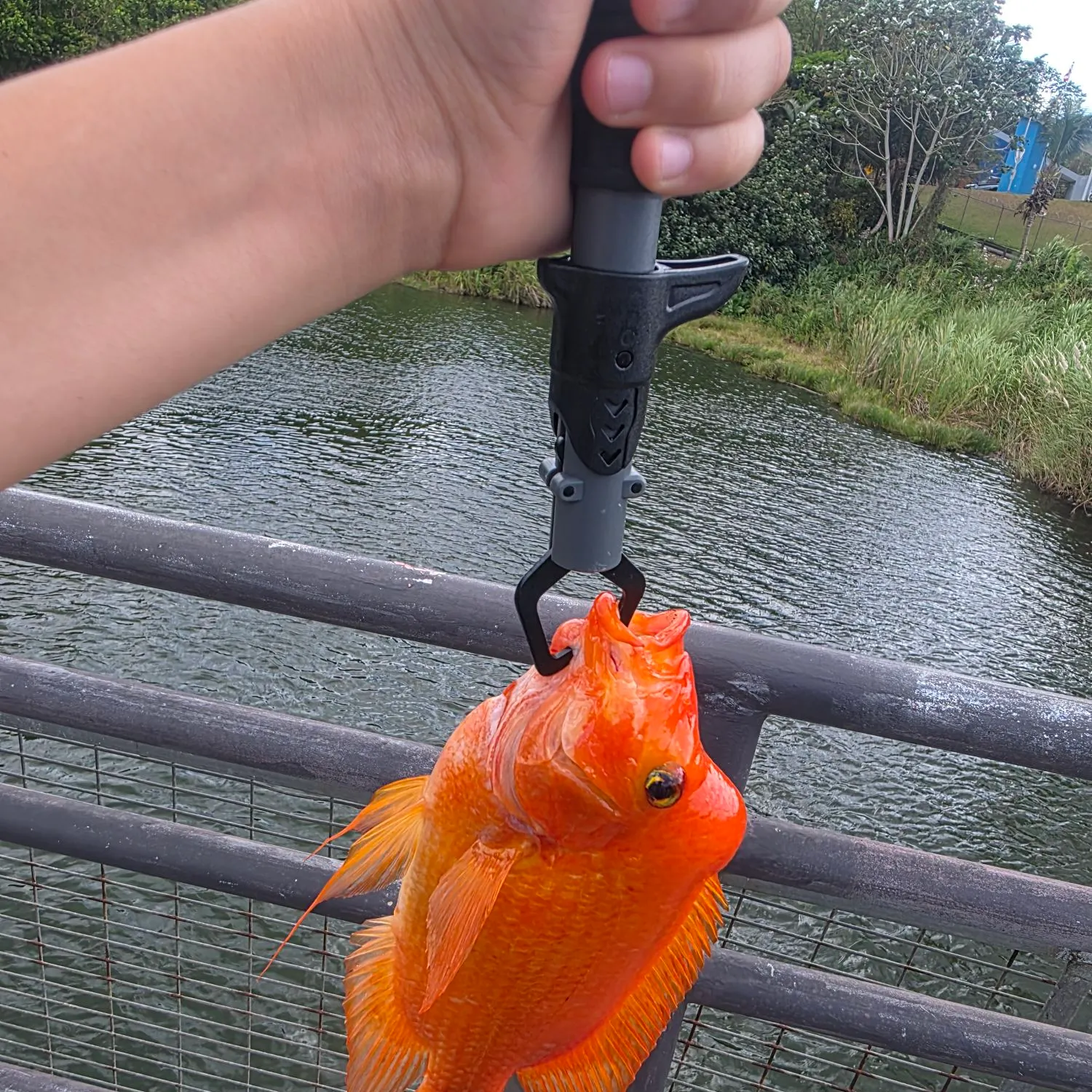 catch