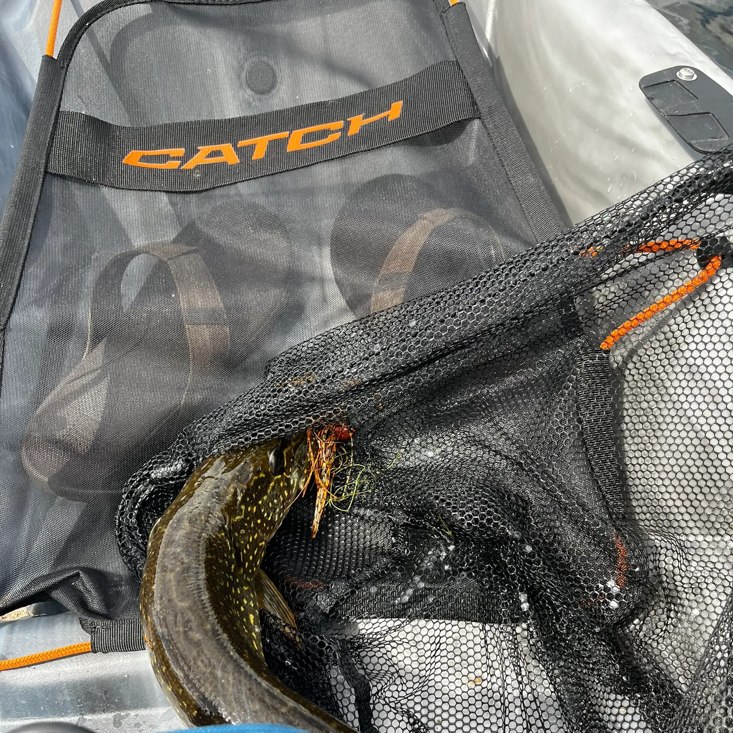 Northern pike caught on Fishbrain