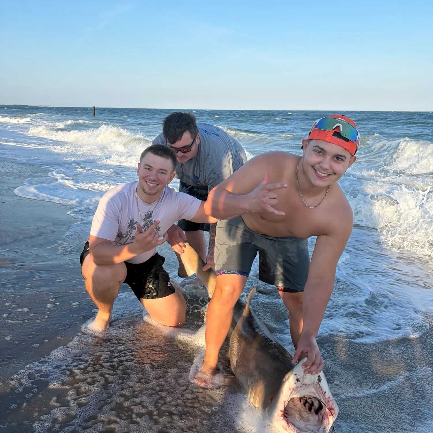 The most recent Sand tiger shark catches on Fishbrain