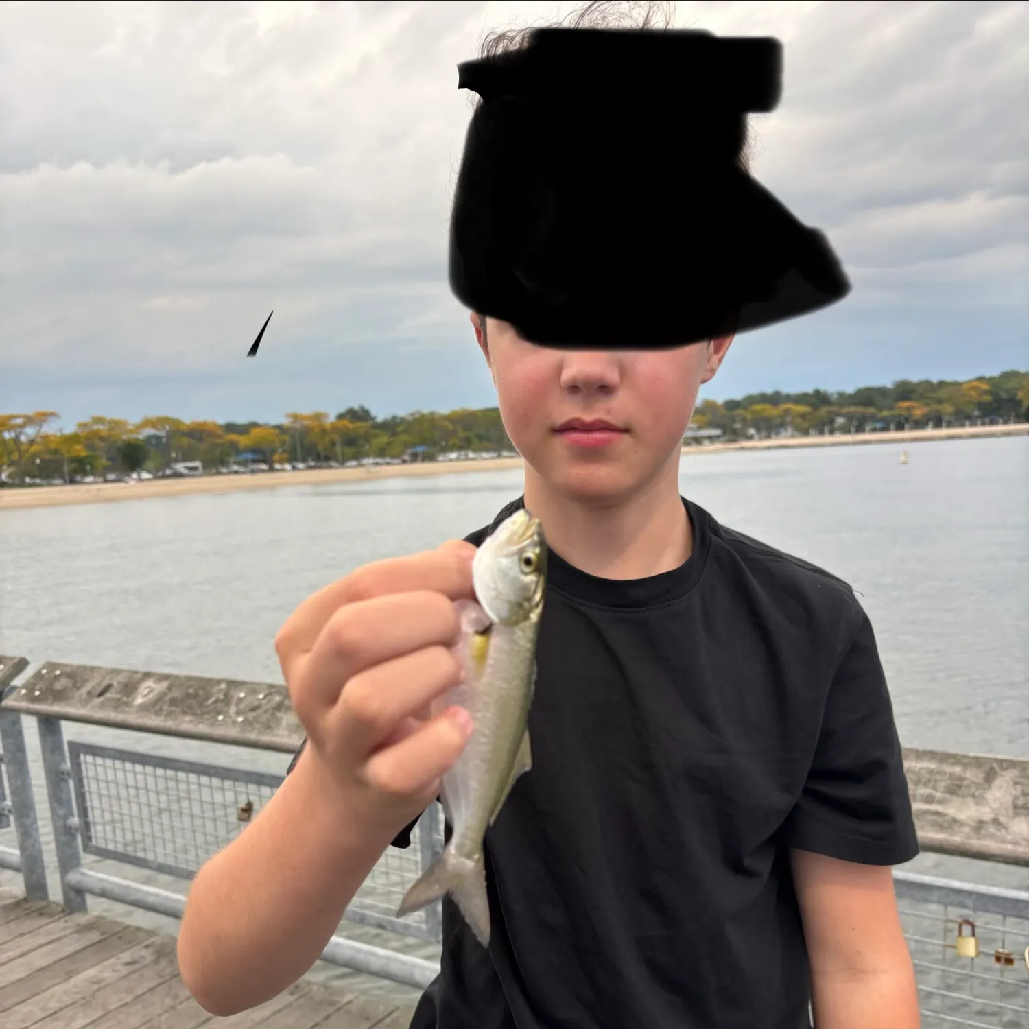 Bluefish caught on Fishbrain