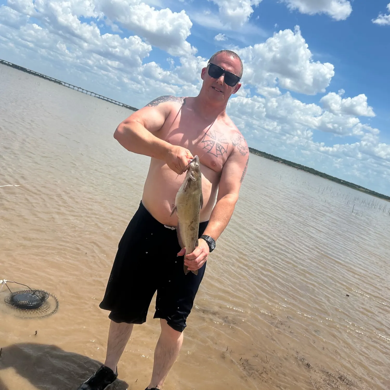 Channel catfish caught on Fishbrain