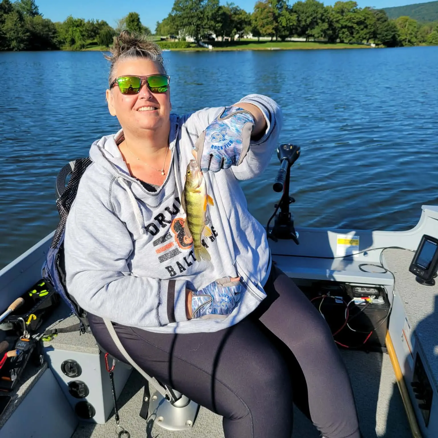 Yellow perch caught on Fishbrain