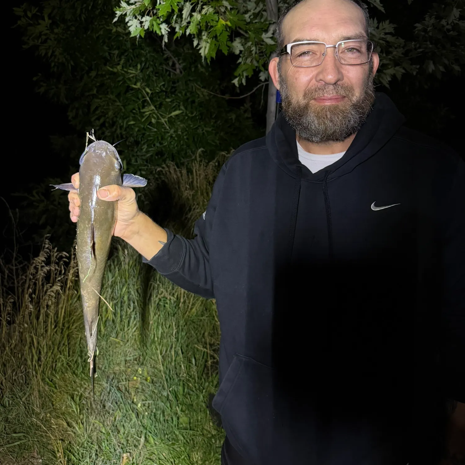Channel catfish caught on Fishbrain