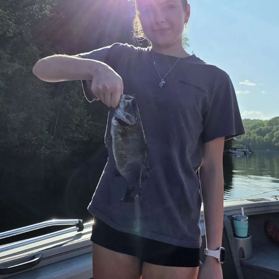 Smallmouth bass caught on Fishbrain