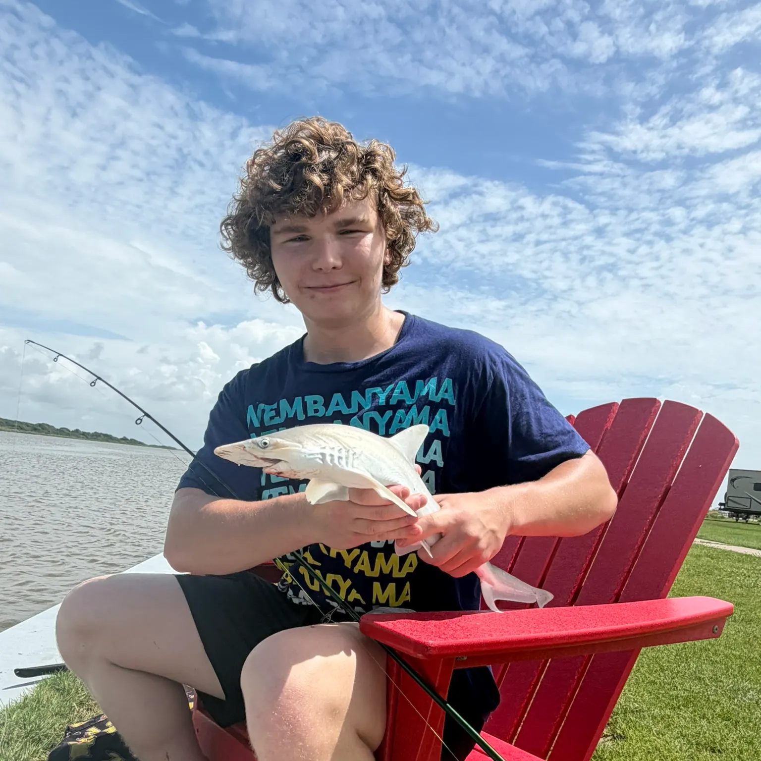 The most recent Great hammerhead shark catches on Fishbrain