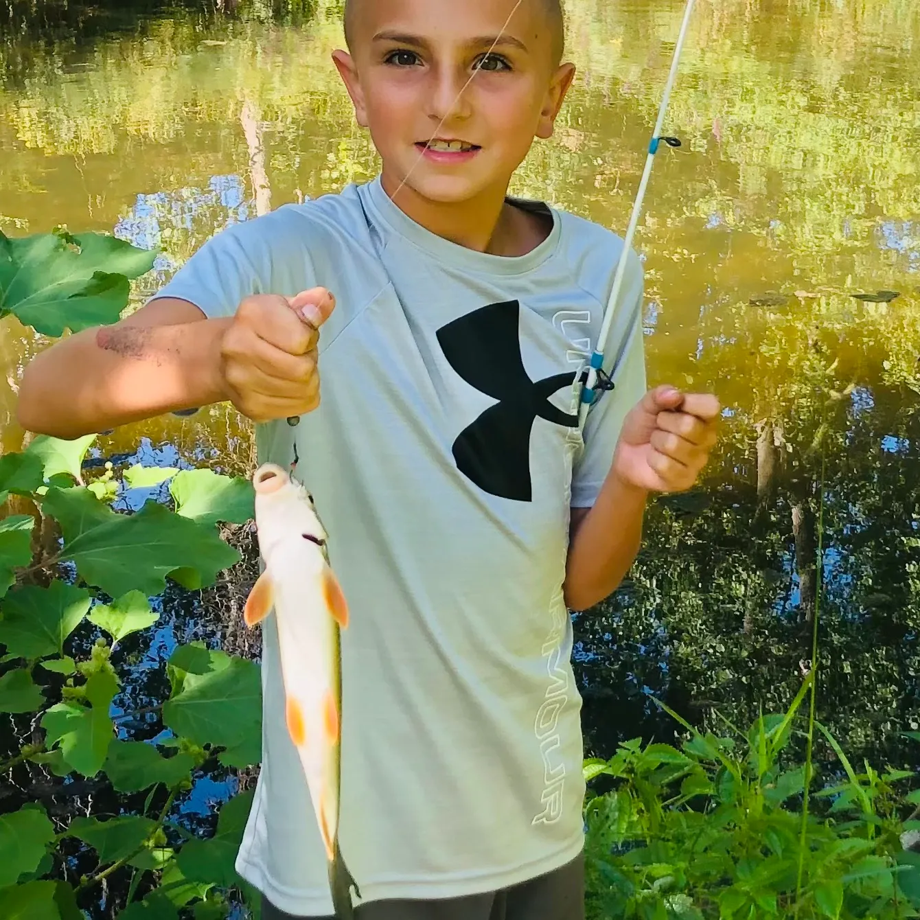 The most recent Smallmouth redhorse catches on Fishbrain