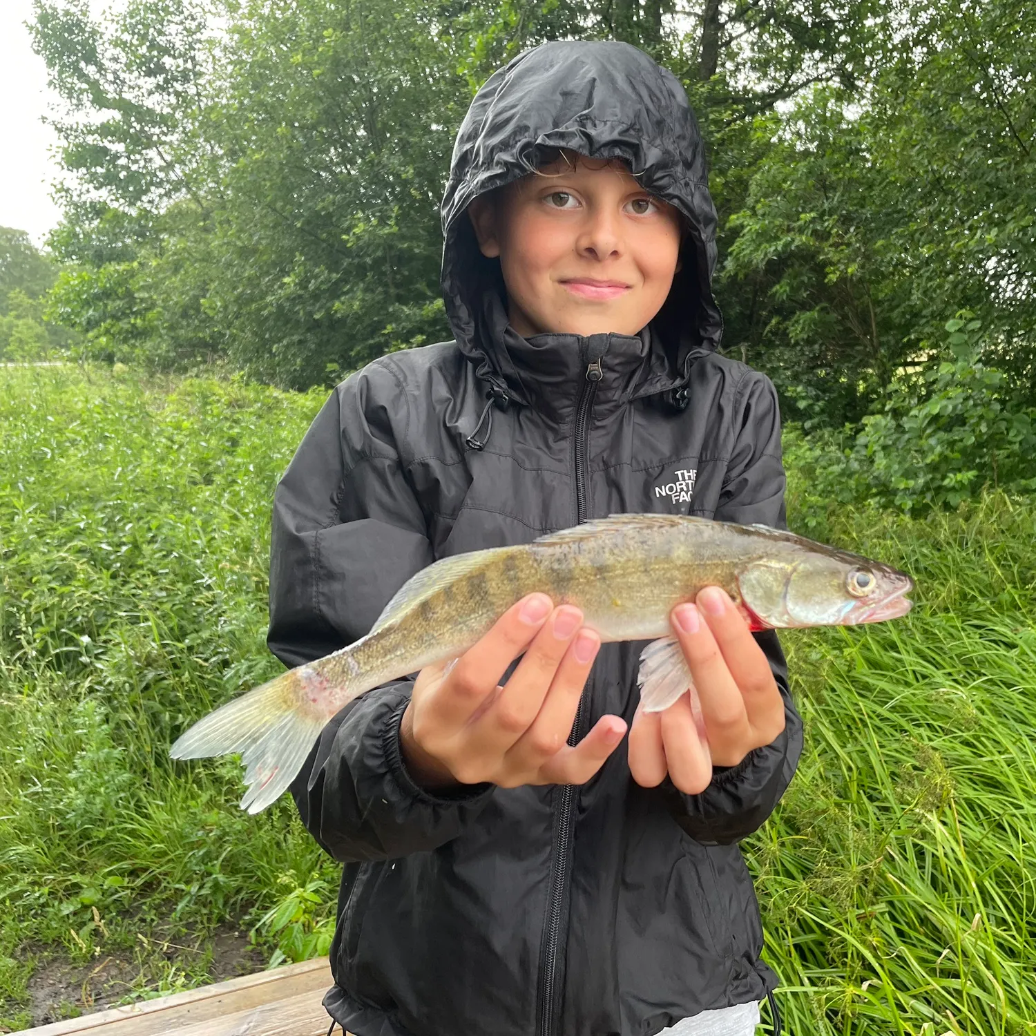 The most recent Zander catches on Fishbrain