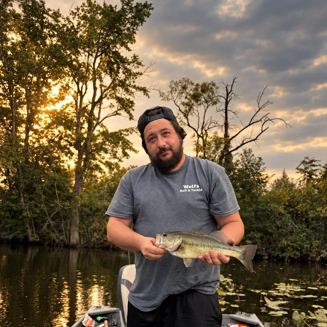 Largemouth bass caught on Fishbrain