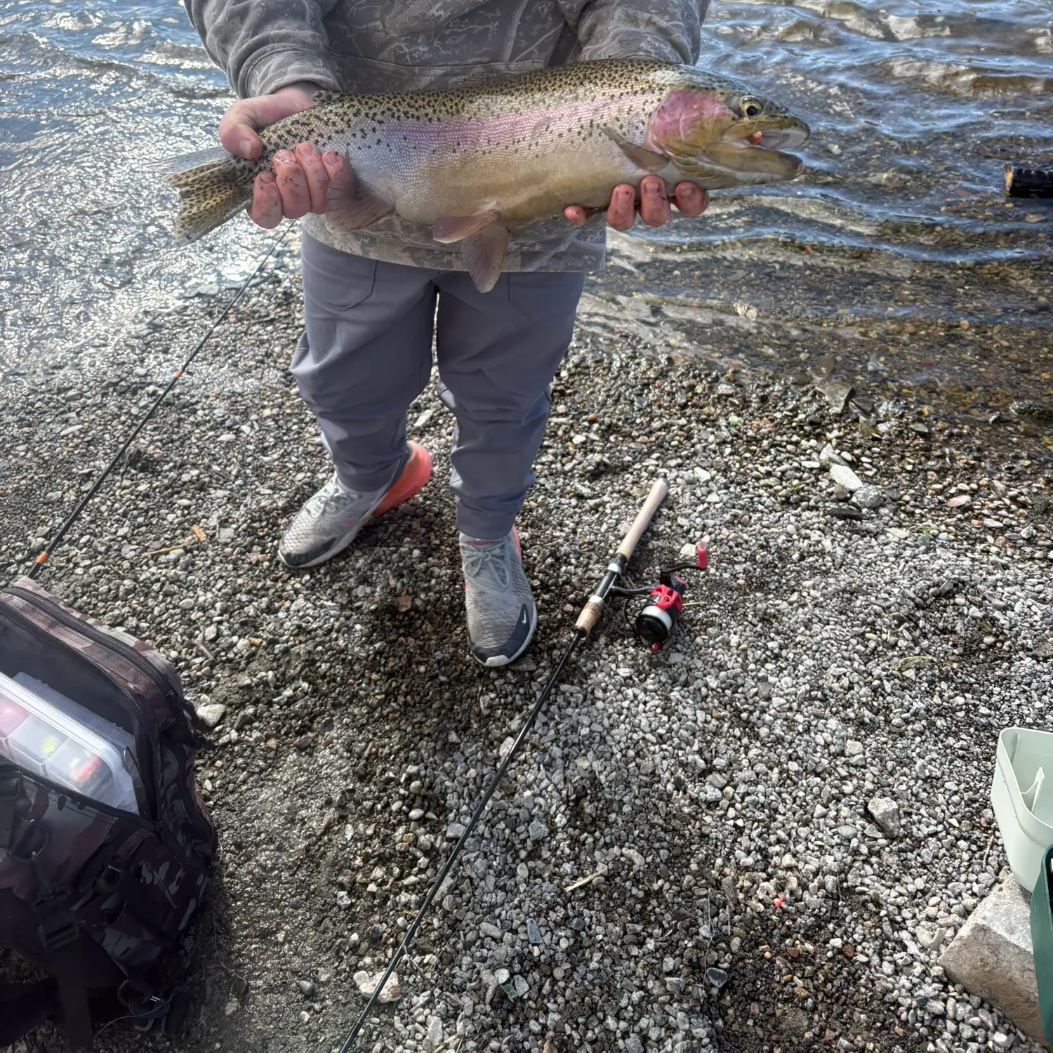 The most recent Yellowstone cutthroat trout catches on Fishbrain