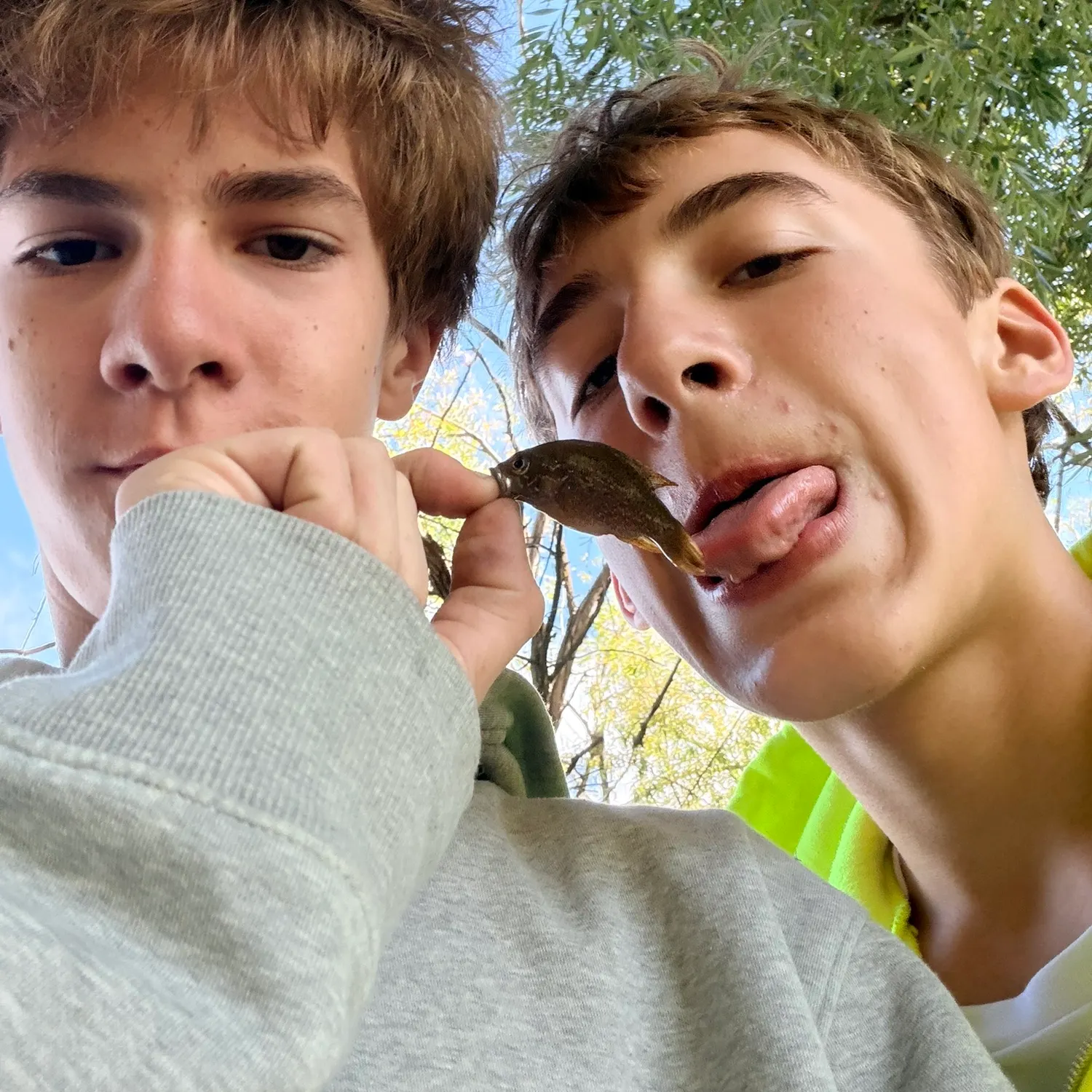 Fish caught on Fishbrain