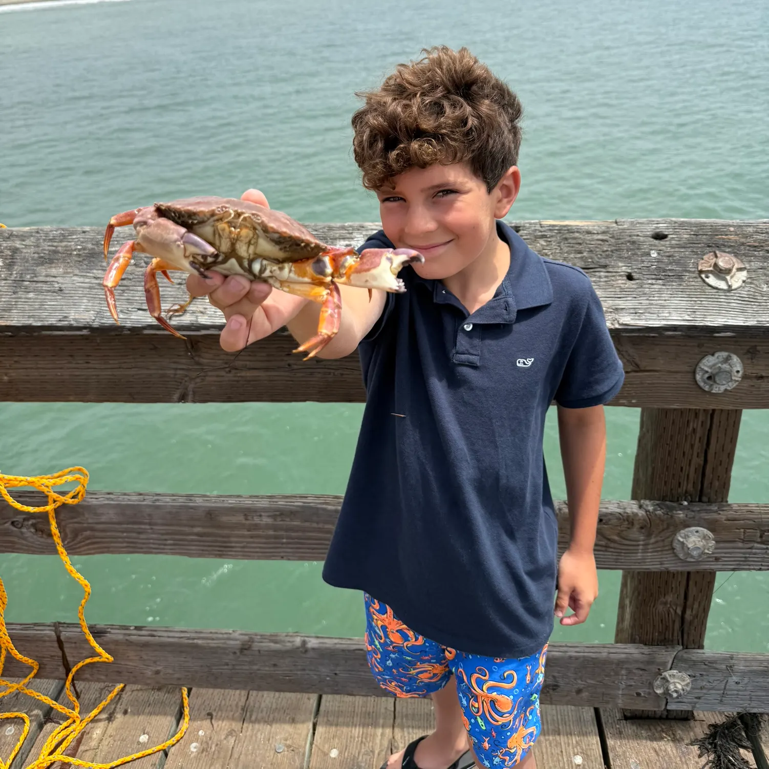 The most recent Atlantic rock crab catches on Fishbrain