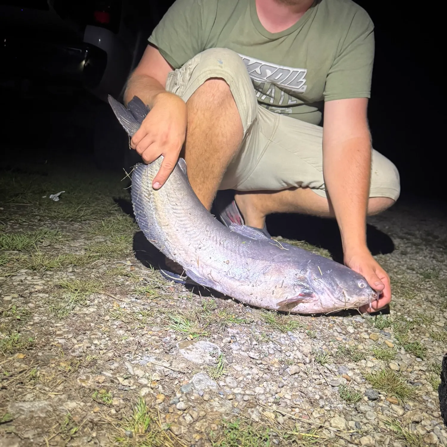 Channel catfish caught on Fishbrain