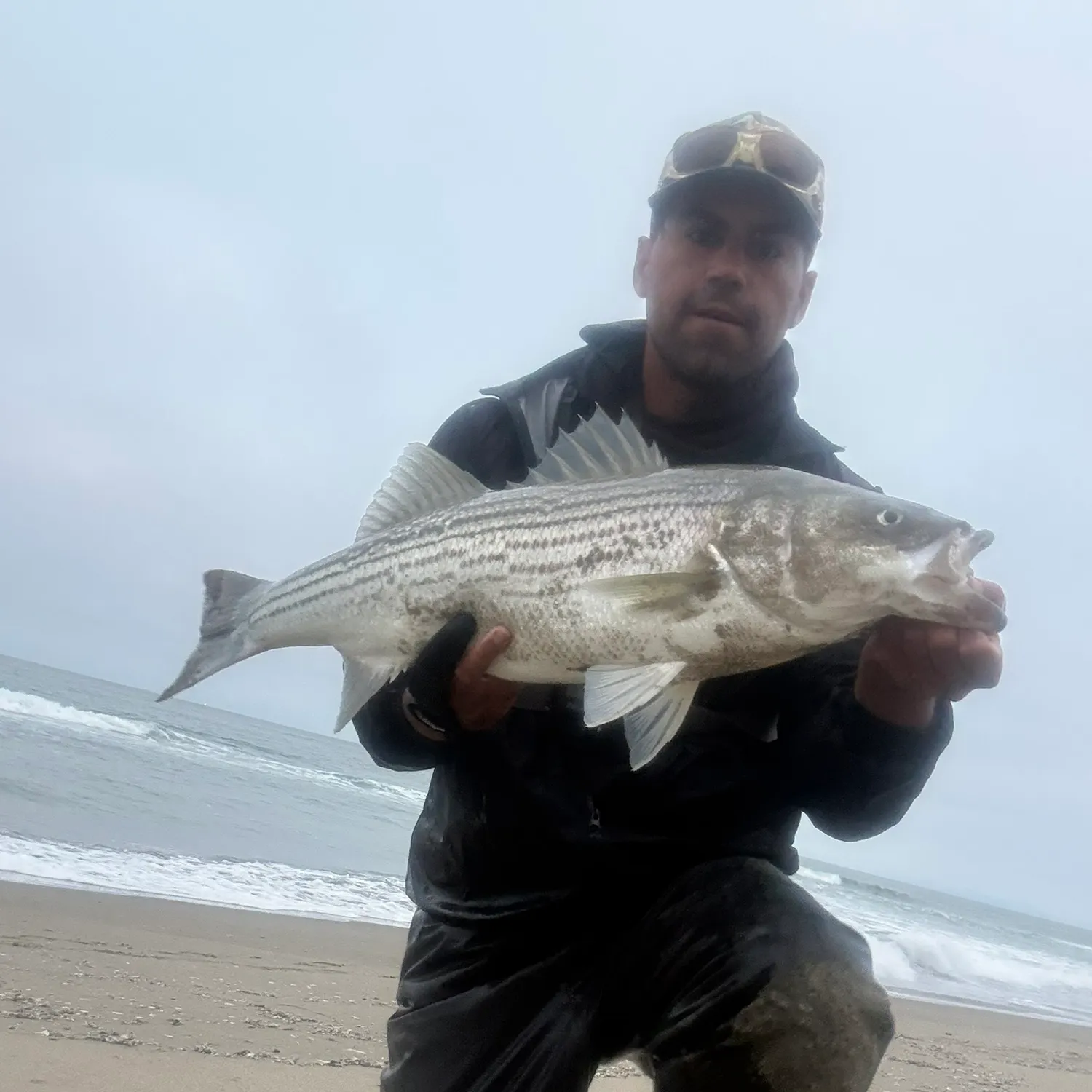 Striped bass caught on Fishbrain