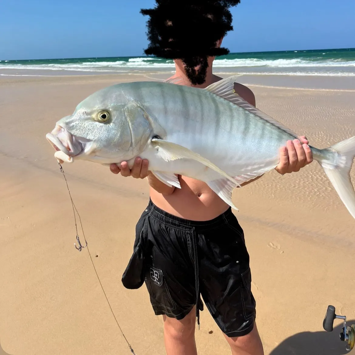 The most recent Golden trevally catches on Fishbrain