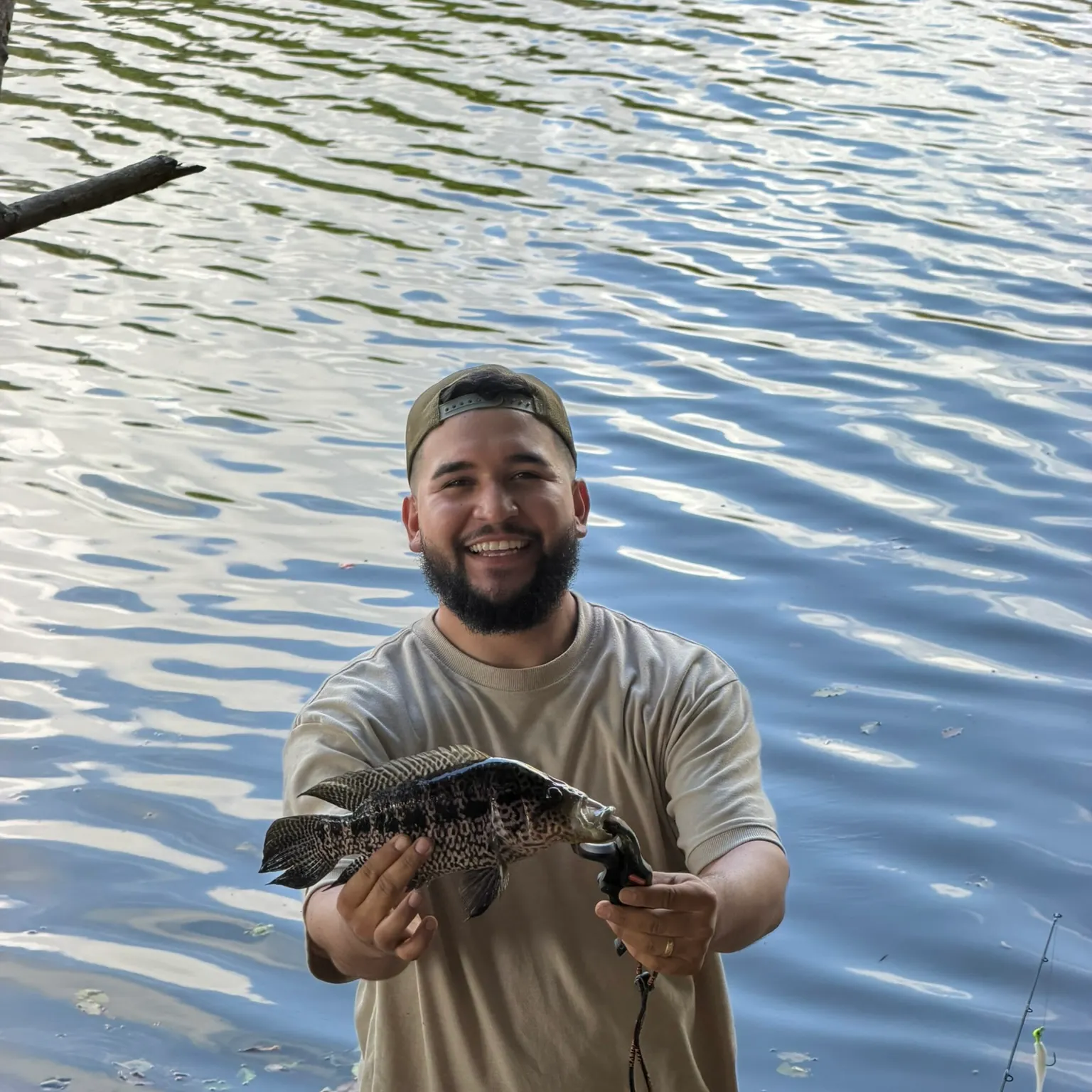 The most recent Jaguar cichlid catches on Fishbrain