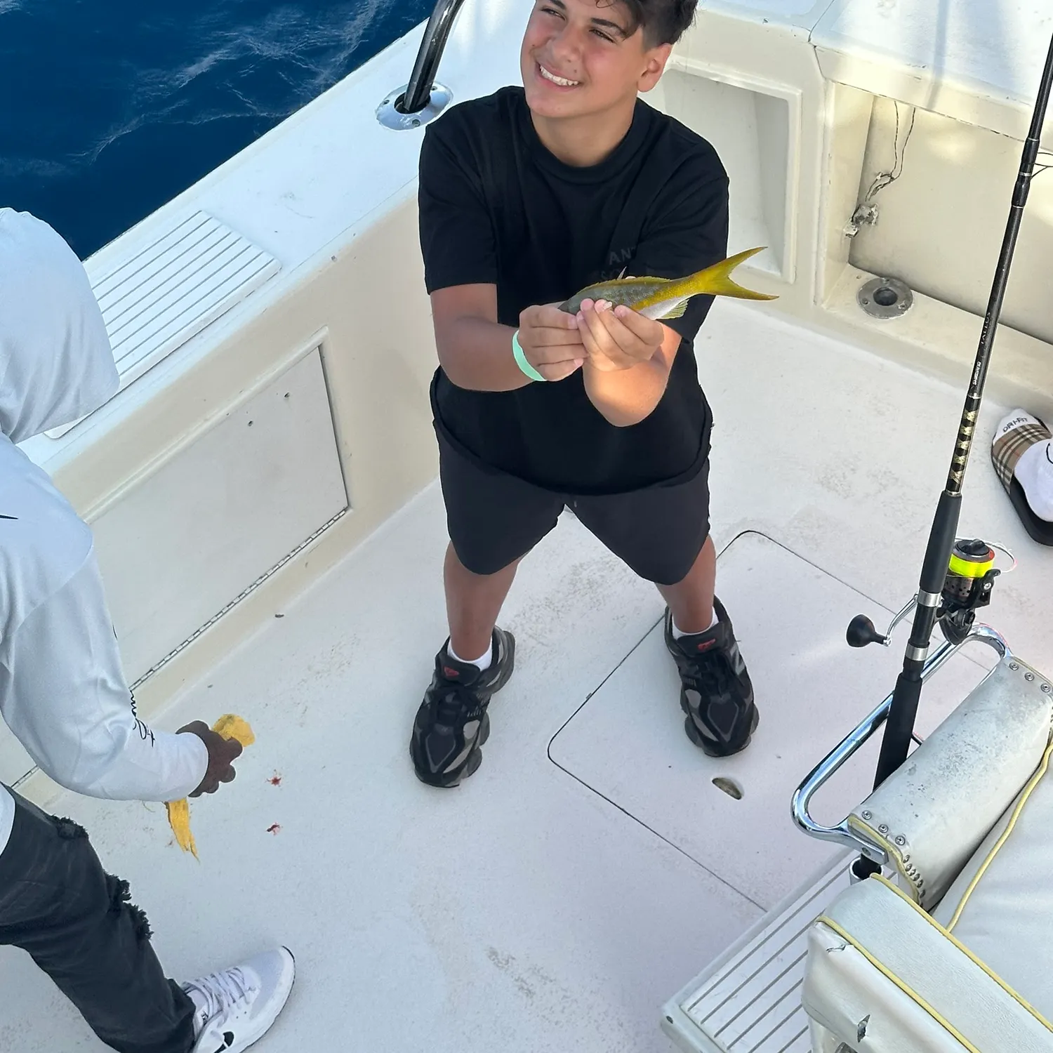 The most recent Black triggerfish catches on Fishbrain