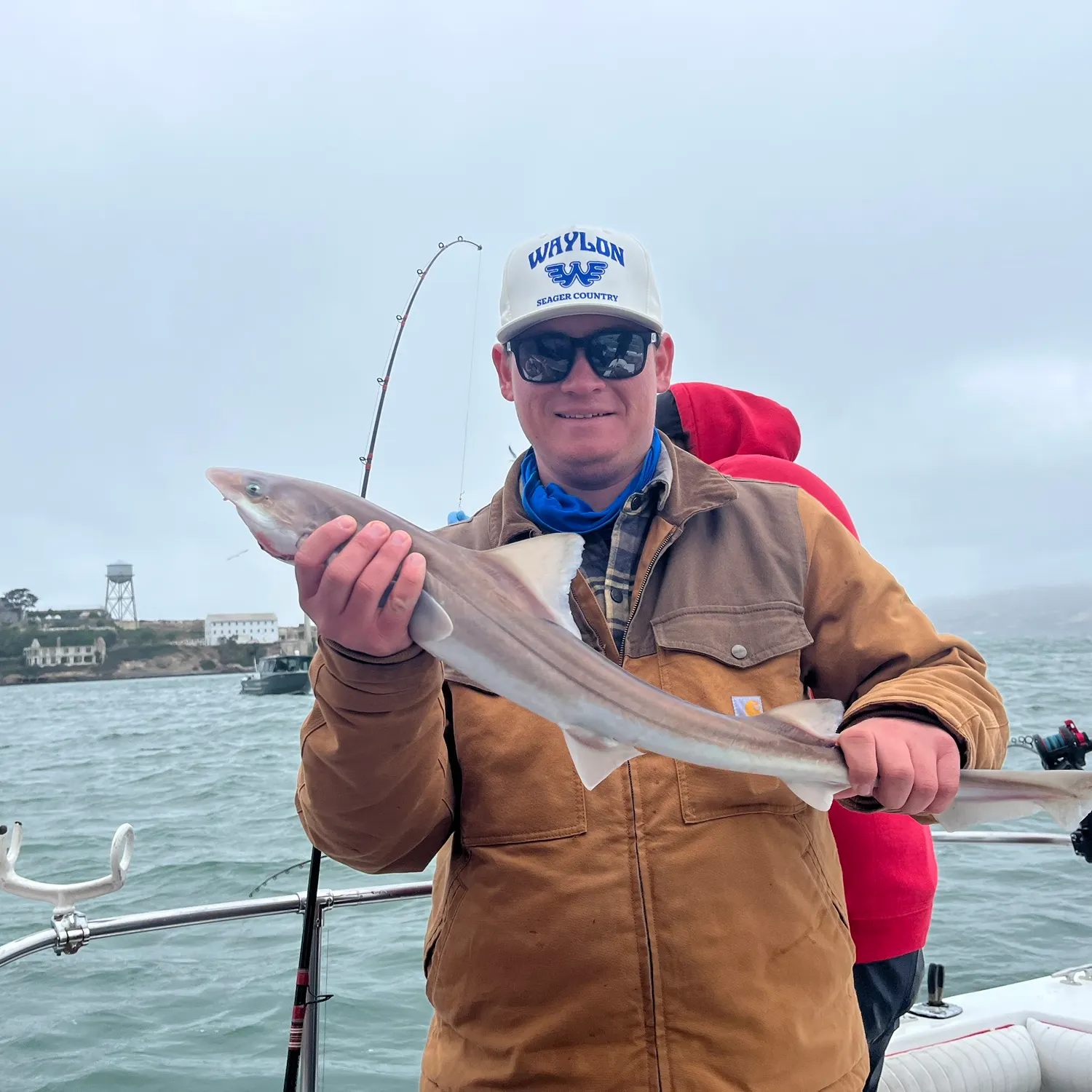 The most recent Brown smooth-hound catches on Fishbrain