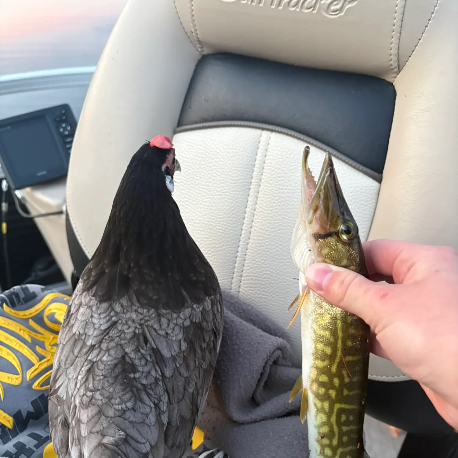 catch