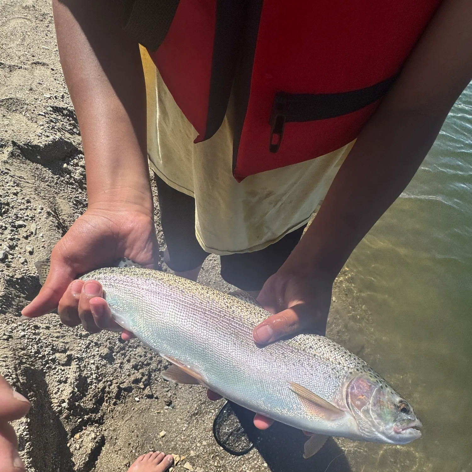 Rainbow trout caught on Fishbrain