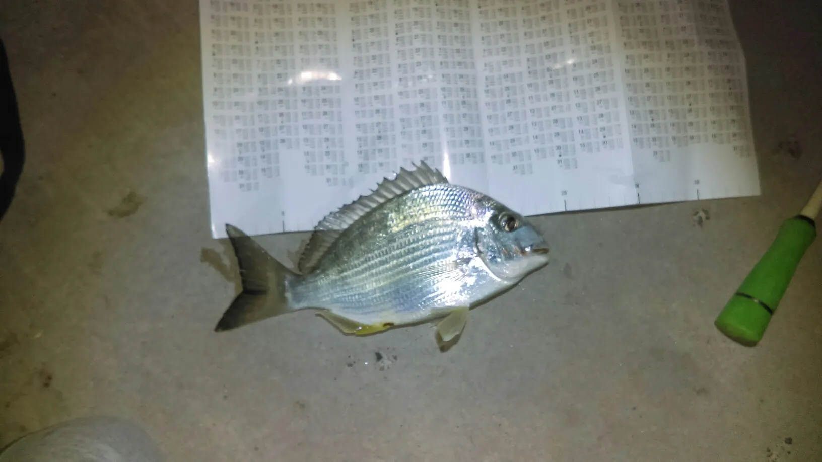 Post image from Fisherholic51