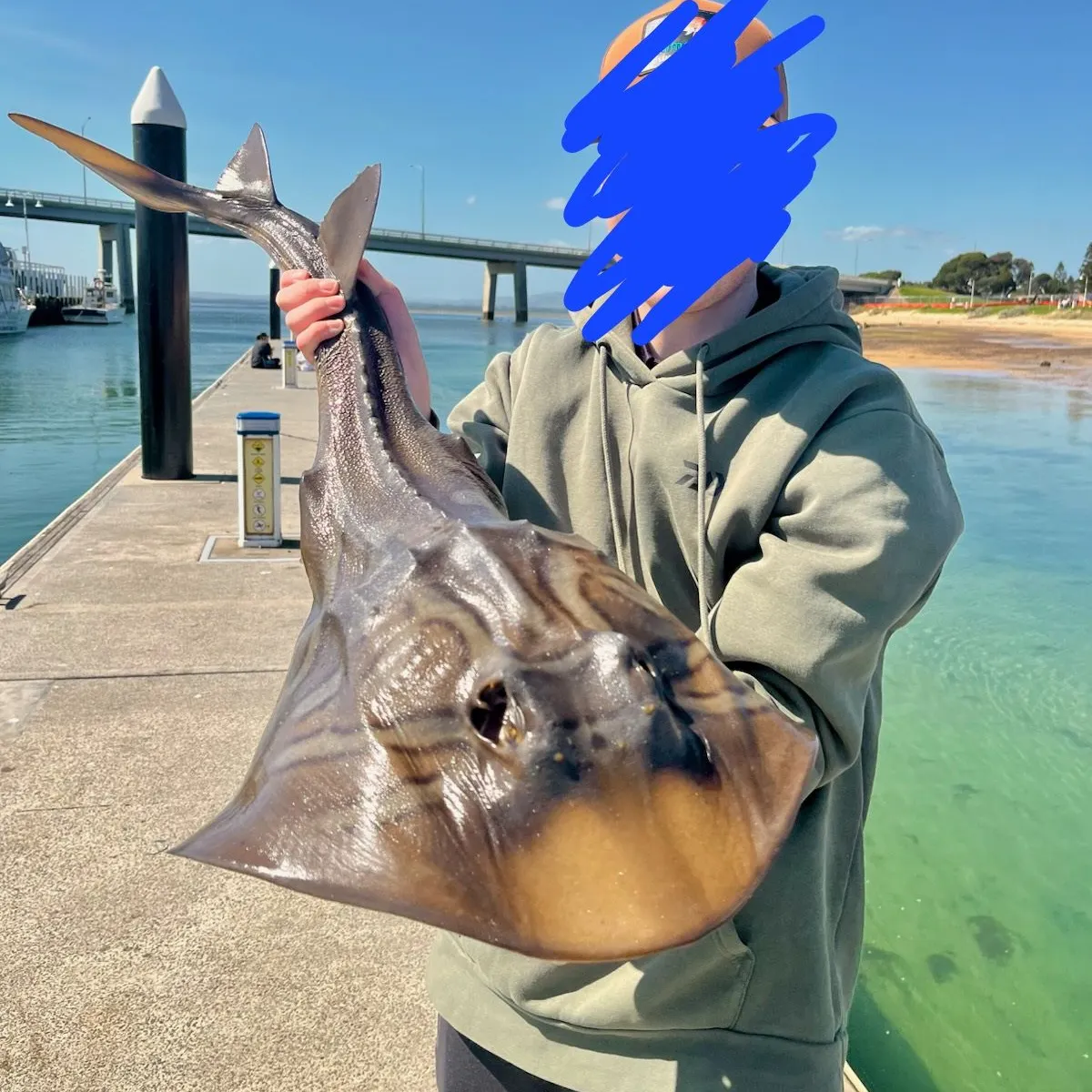 The most recent Southern fiddler catches on Fishbrain