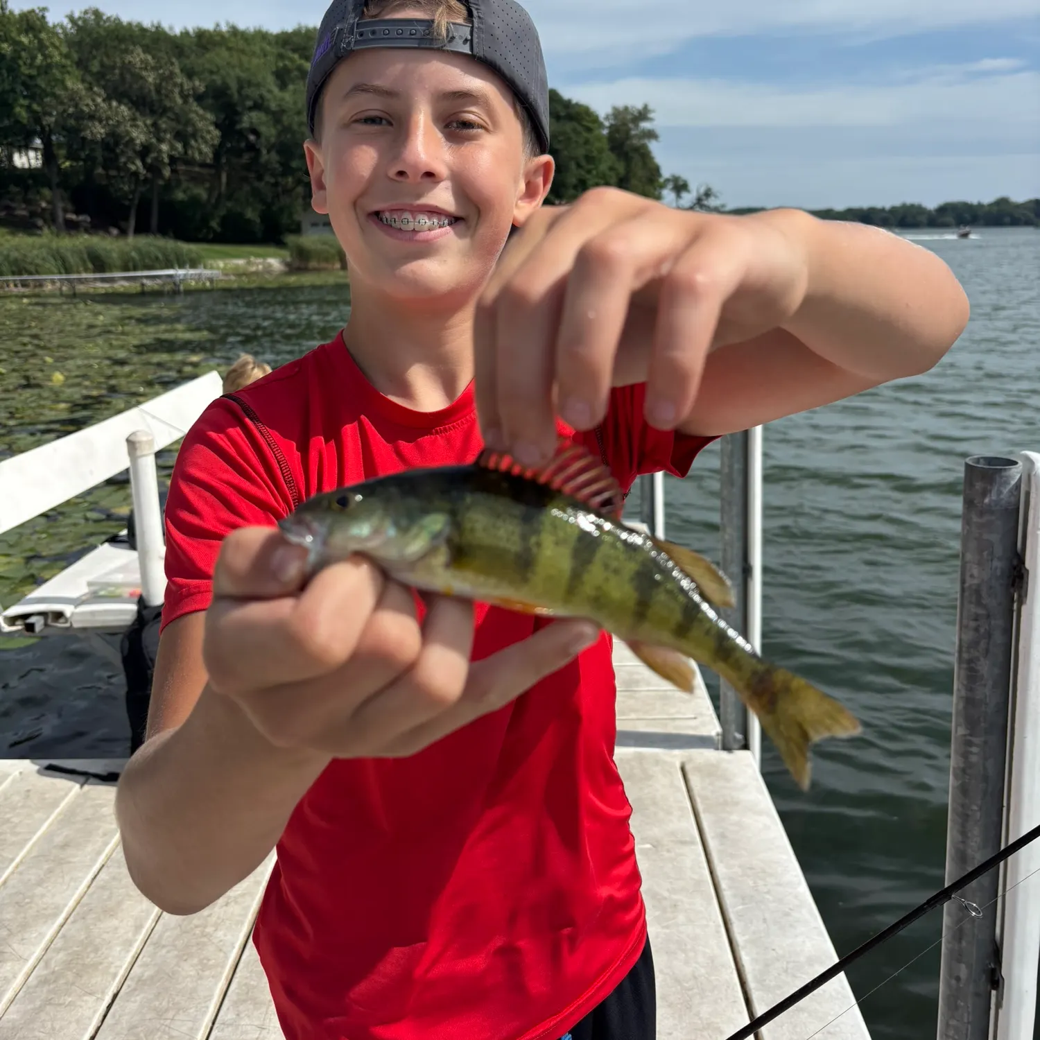 European perch caught on Fishbrain