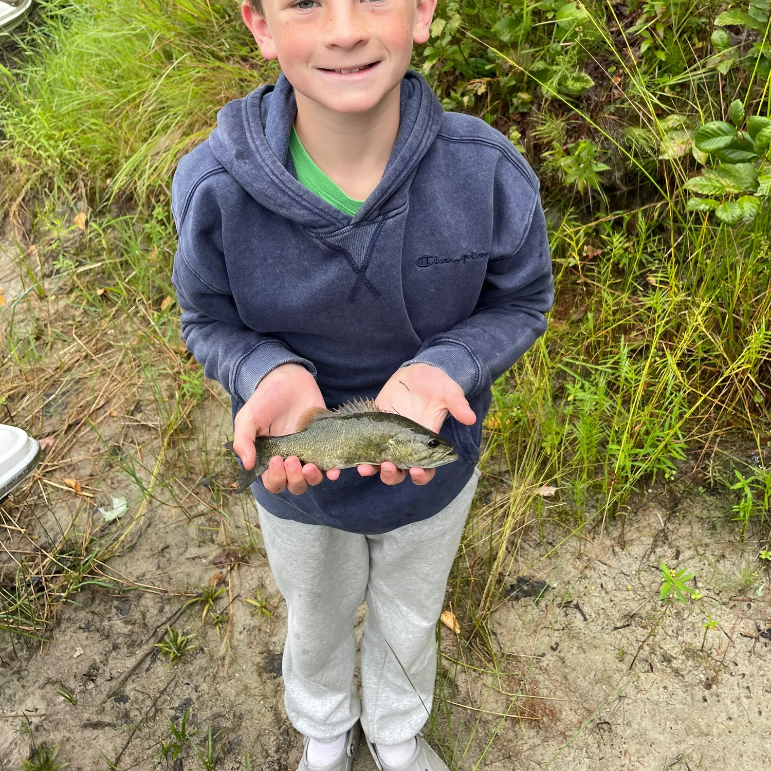 Smallmouth bass caught on Fishbrain